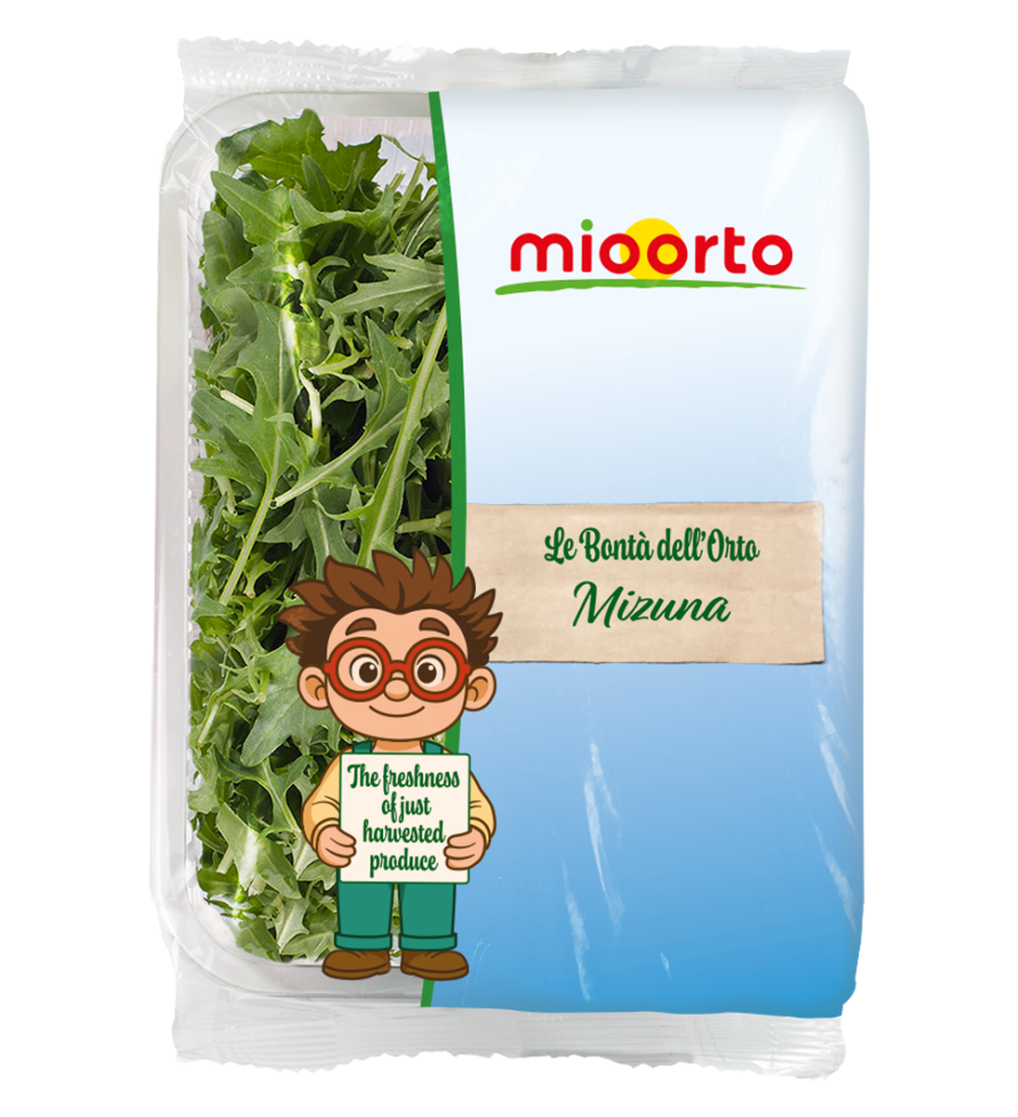confezione di mizuna