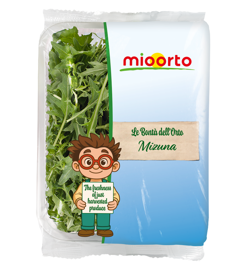 confezione di mizuna