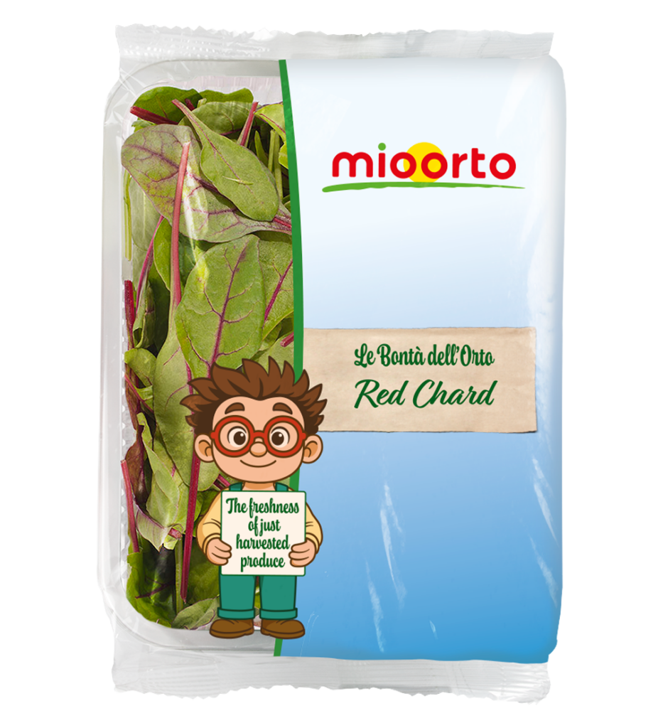 confezione di red chard