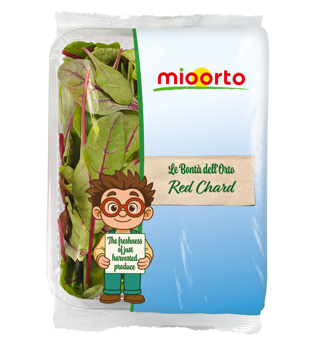 confezione di red chard