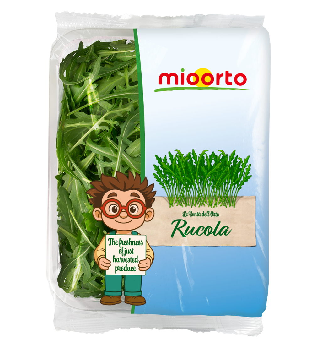 confezione di rucola