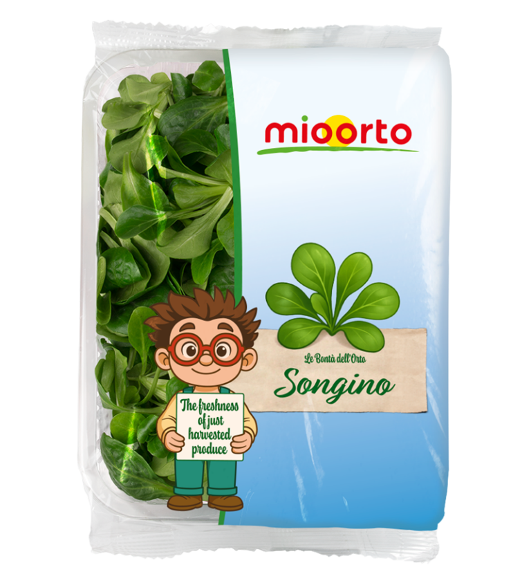 confezione di songino