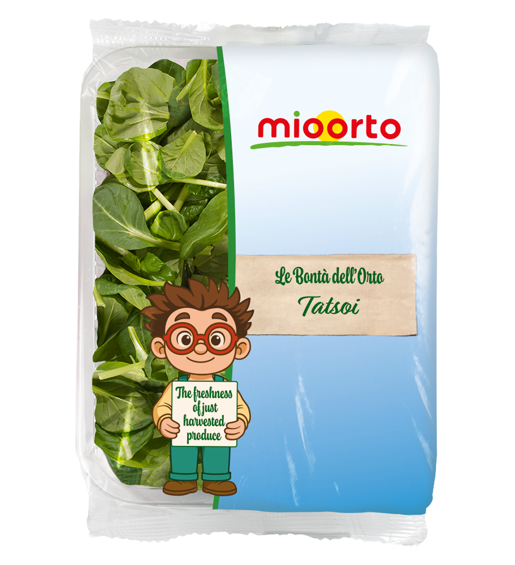 confezione di tatsoi