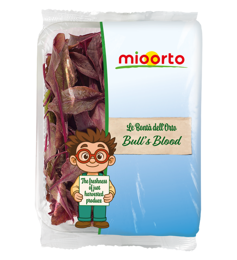 confezione di bull's blood