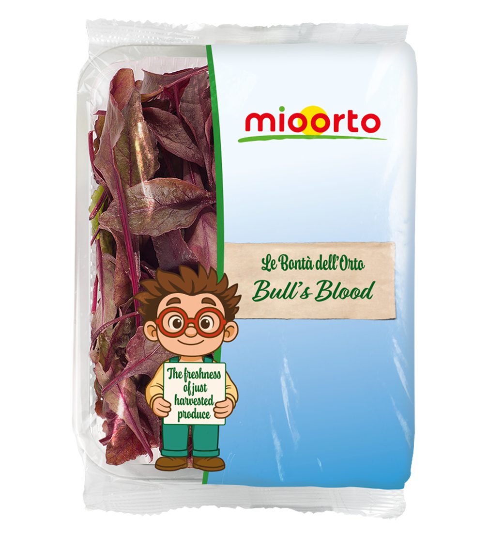 confezione di bull's blood