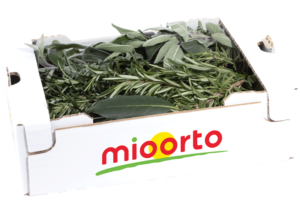 aromi misti in cartone da 200g