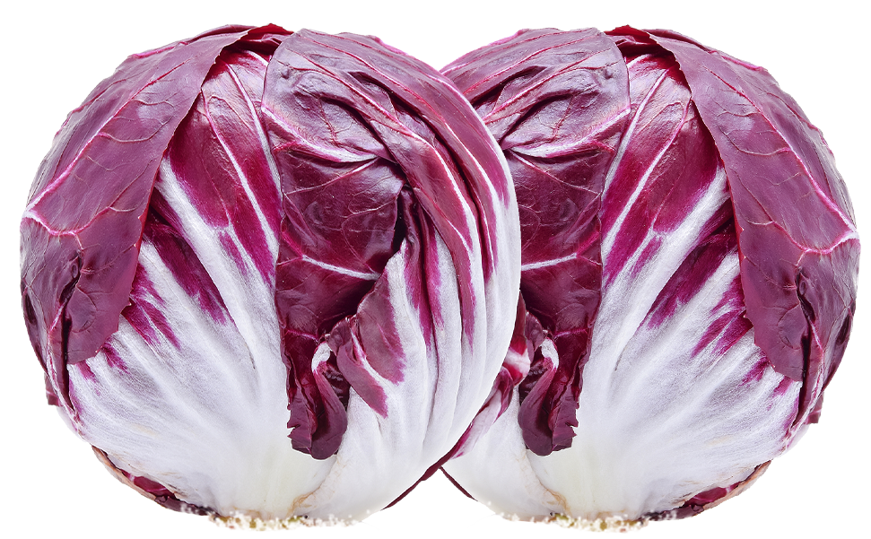 Radicchio rosso