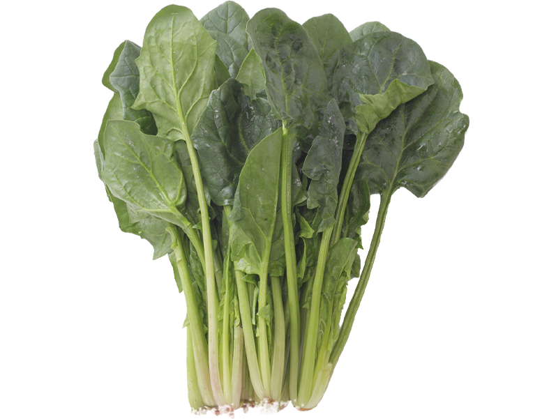 Spinaci