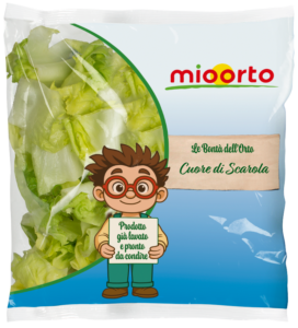 pack di insalata cuore di scarola