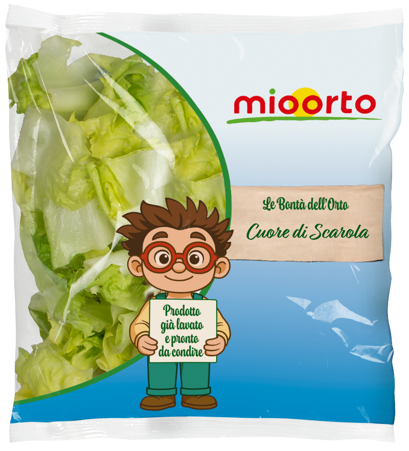 pack di insalata cuore di scarola