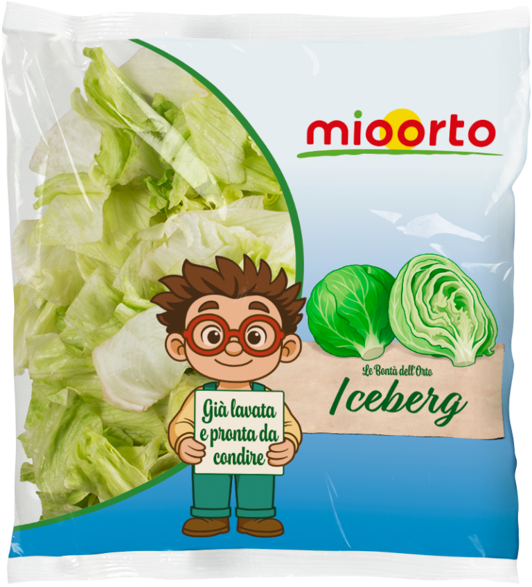 pack di insalata iceberg