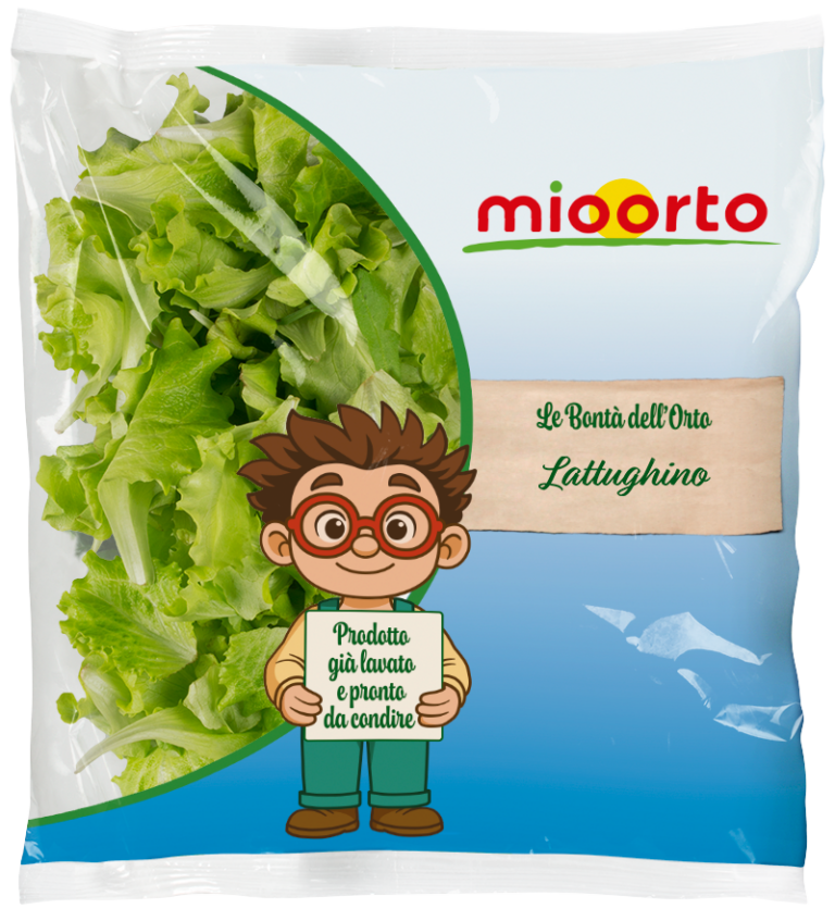 pack di insalata lattughino
