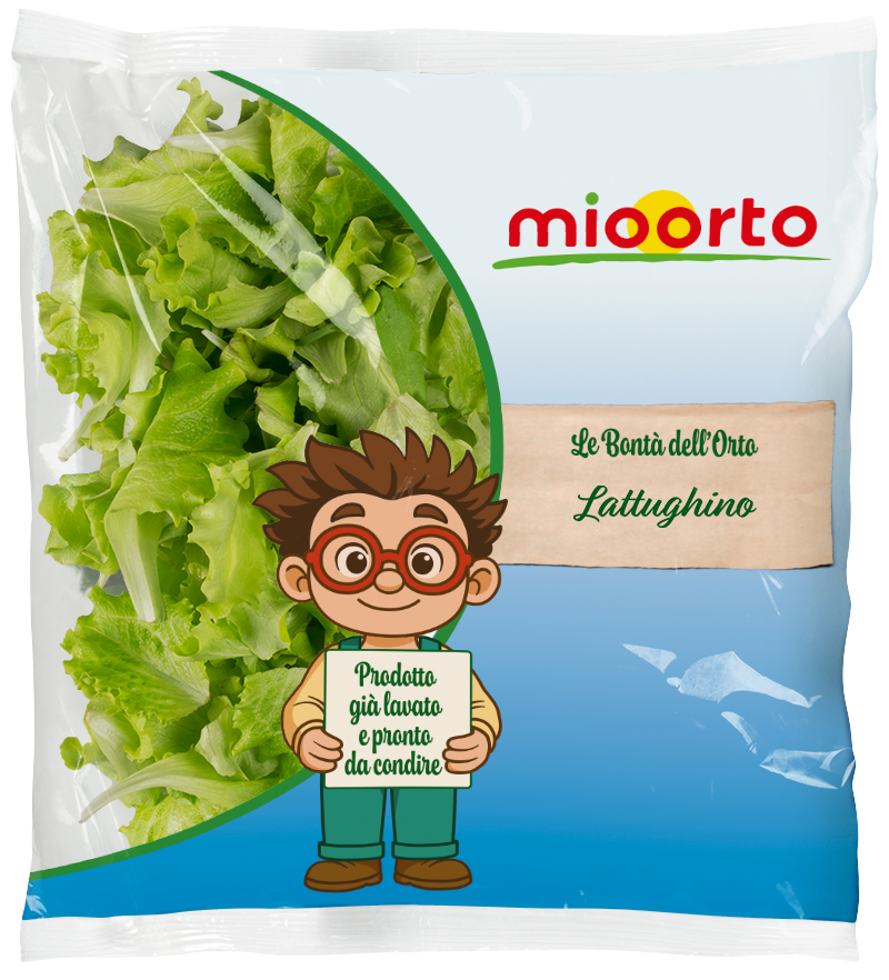 pack di insalata lattughino