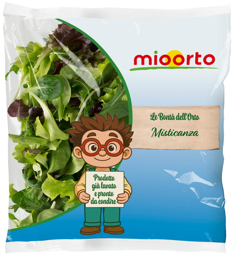 pack di insalata misticanza
