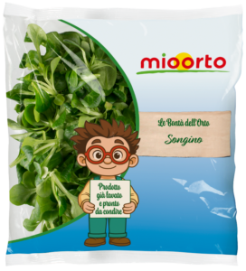 pack di insalata songino