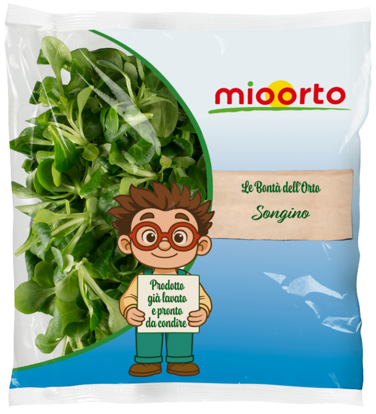 pack di insalata songino