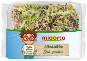 pack di insalata steli gustosi