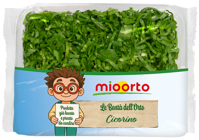 pack di insalata cicorino in vaschetta