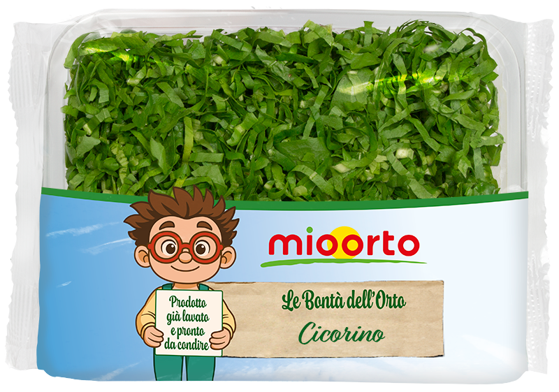 pack di insalata cicorino in vaschetta