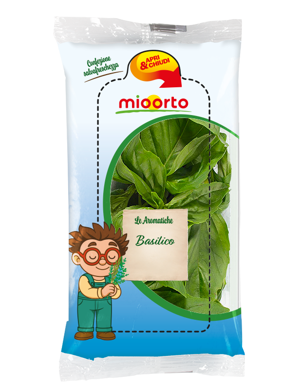 pack di basilico in vaschetta