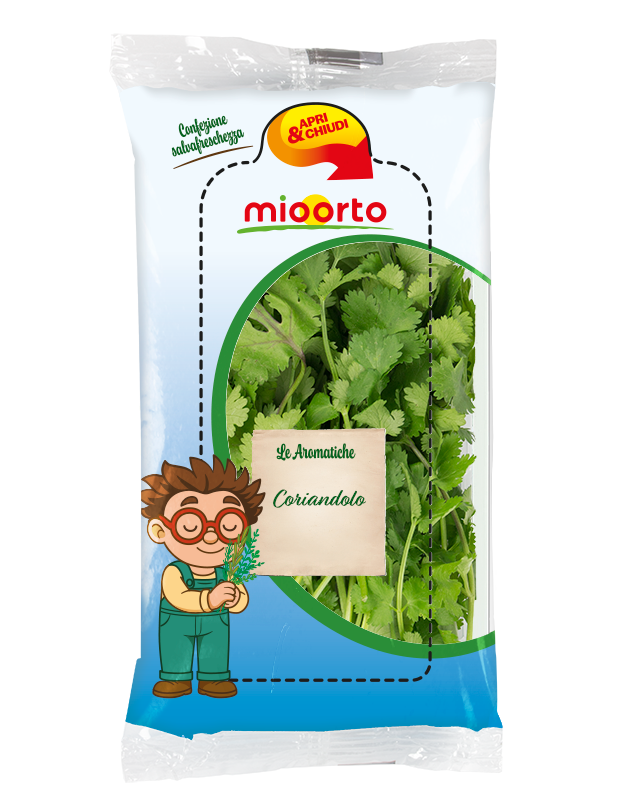 pack di coriandolo in vaschetta