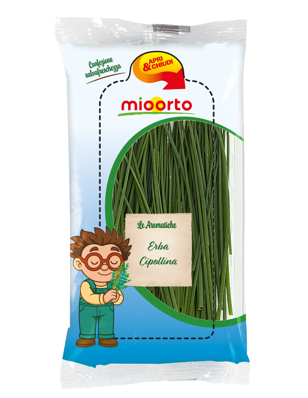 pack di erba cipollina in vaschetta