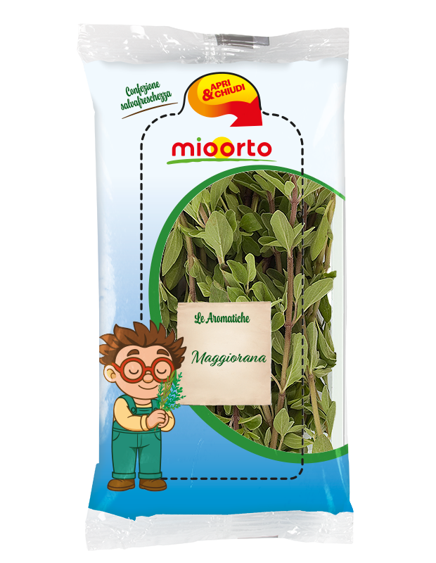 pack di maggiorana in vaschetta