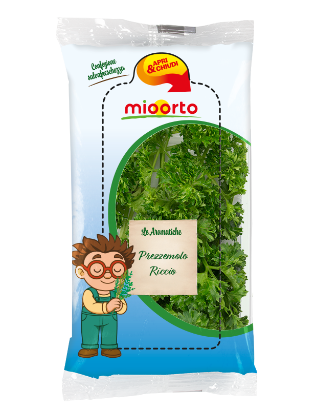 pack di prezzemolo riccio in vaschetta