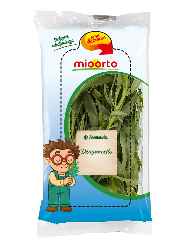 pack di dragoncello in vaschetta