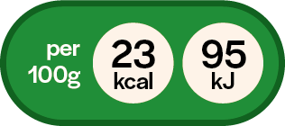 23 kcal per 100 grammi
