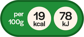 19 kcal per 100 grammi