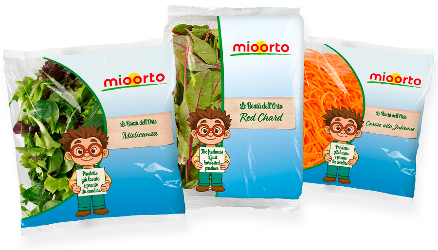 composizione di insalate della bontà dell'orto