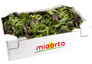 insalata gran mix in cartone da 200g